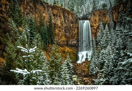 Mountain waterfall in the winter forest. Winter waterfall in mountain forest. Forest waterfall in winter. Winter waterfall landscape