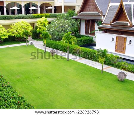 Garden stone path with grass