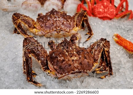 Two large blue king crab, also known as Hokkaido king crab packed in ice on a display at a supermarket in Japan.  Royalty-Free Stock Photo #2269286603