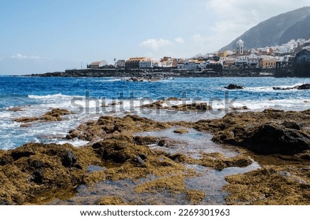Atlantic ocean, rocky beach with algae and town of Garachico in the background. Tenerife North, Canary Islands, Spain.