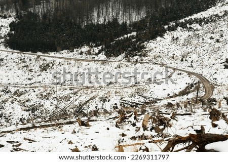 Winter view of forest roads. Hostyn hills. Czechia
