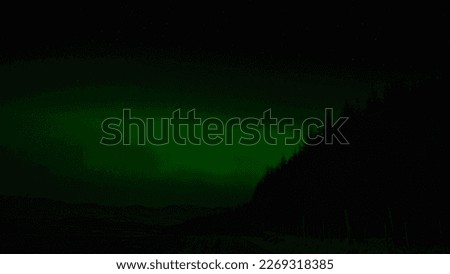 northern lights, wonderful northern lights view from mountains of scotland in woodland