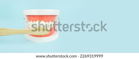 Dentistry conceptual photo. Prosthetic dentistry and wooden toothbrush. False teeth. Mock tooth or tooth model. Model of jaw is used to demonstrate how human teeth and jaw clean.