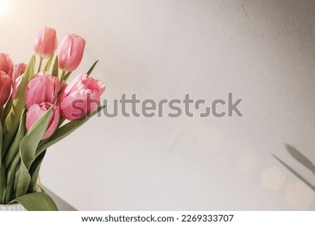 Gently pink bouquet of tulips in a vase. Spring background with a bouquet of flowers. Front view