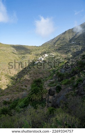 The small mountain village of Masca in the Teno mountains on the Canary Island of Tenerife, Spain, Europe