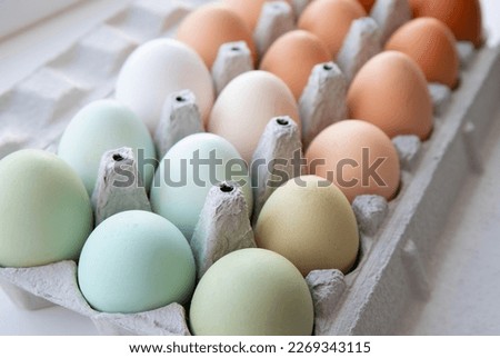 Lot of different color chicken eggs arranged by color on paper egg box. All sorts of colors: blue, green, white, beige, brown. From natural organic farm. Minimal above view. Royalty-Free Stock Photo #2269343115