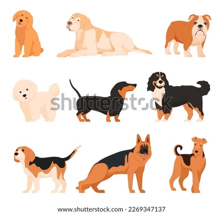 Different dogs in cartoon style. Large and small pets of various breeds. Four-legged friends, defenders of the house. Vector illustration