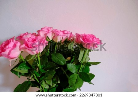 bouquet of pink roses on a white background. Postcard design. 8 March, Mother's day card
