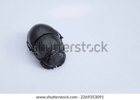Catharsius is a genus of dung beetles in the Coprini tribe in the scarab family