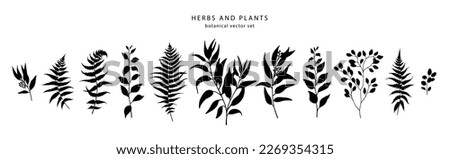 Herbs and plants set. Forest leaves  and branches silhouettes collection. Vector illustration.