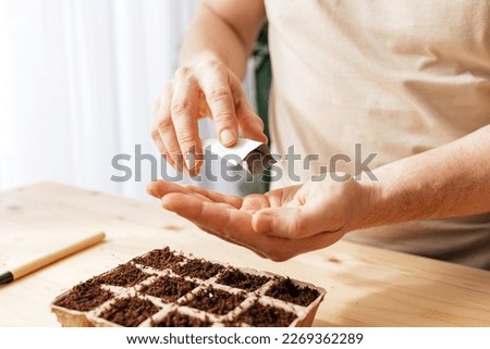 A man sows tomato seeds, pours seeds from a bag onto his hand. Home growing vegetables and herbs Royalty-Free Stock Photo #2269362289
