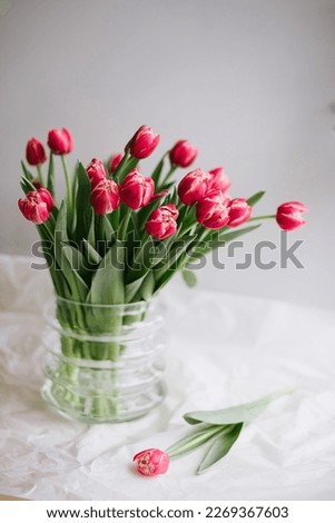 Beautiful glass vase full of fresh pink tulip flowers standing on the table, covered with white crumbles wrapping paper, vertical image