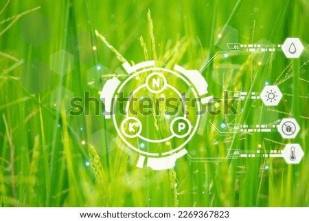 Smart farm digital icon and futuristic AI data infographic of Landscape nature of rice field on rice paddy green color lush growing is a agriculture in asia