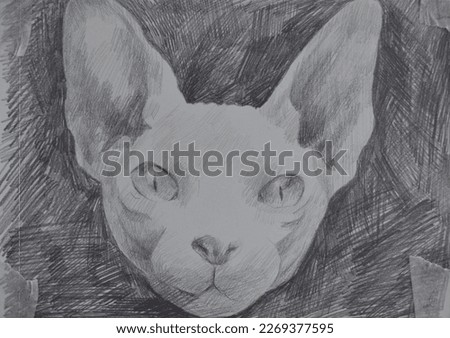 sphinx cat charcoal sketch ,
academic drawing.

