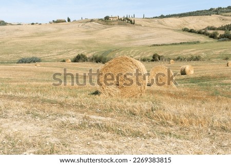 The picture of Tuscan Landscapes in Val d'Orcia region of Tuscany Royalty-Free Stock Photo #2269383815
