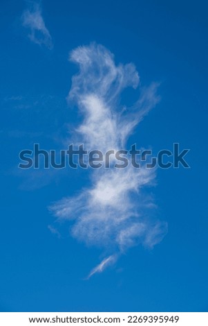 Summer blue sky cloud gradient light white background. Beauty clear cloudy in sunshine calm bright winter air bacground. Vertical