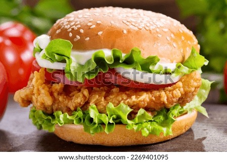 Burger sandwich with salad and hamburger
