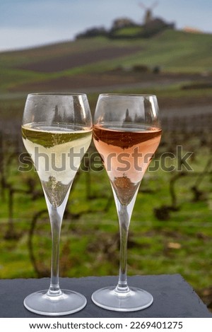 Winter tasting of brut and rose champagne sparkling wine outdoor with view on pinot noir gran cru vineyards of famous champagne houses in Montagne de Reims near Verzenay, Champagne, France Royalty-Free Stock Photo #2269401275