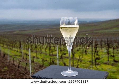 Winter tasting of brut champagne sparkling wine outdoor with view on pinot noir gran cru vineyards of famous champagne houses in Montagne de Reims near Verzenay, Champagne, France Royalty-Free Stock Photo #2269401319