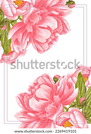 Hand drawn watercolor pink peony flowers bouquet. Isolated on white background. Scrapbook, post card, banner, lable, poster