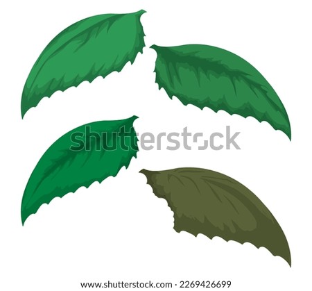 Set with four green serrated leaves and one of them bitten and faded. Design in cartoon style. Royalty-Free Stock Photo #2269426699