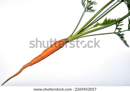 Red table carrots with green tops on a white background.