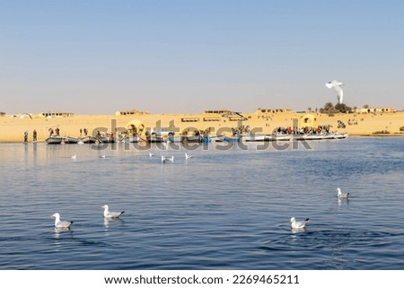 Bird Flying Around a Boats on Wadi El-Rayan Lake, Al-Faiyum Oasis,  Egypt Royalty-Free Stock Photo #2269465211