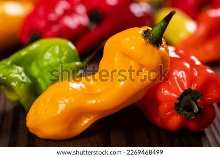 a colorful mix of the freshest and hottest chili peppers.