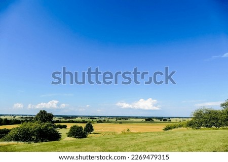 landscape with green field and blue sky, beautiful photo digital picture