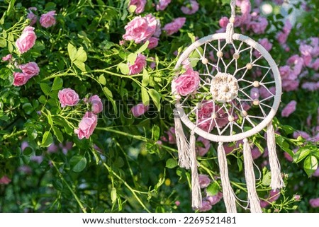 Dreamcatcher handmade spider net or web charm on willow hoop, string, beads. Native crafts items in boho style. Decorative ornament in the garden among rose bushes in spring or summer morning.