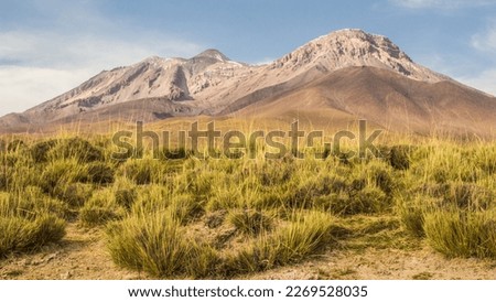 Vulcan Paniri is a stratovolcano located in El Loa Province, Antofagasta Region, Chile Royalty-Free Stock Photo #2269528035