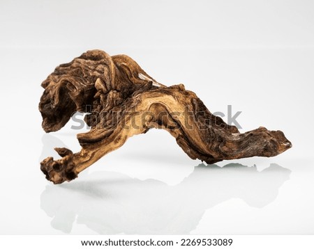 Mangrove driftwood for decorating an aquarium with a rough texture on a light background