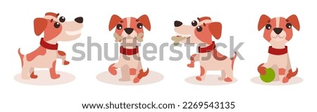 Funny Jack Russell Terrier Puppy with Cute Snout Vector Set