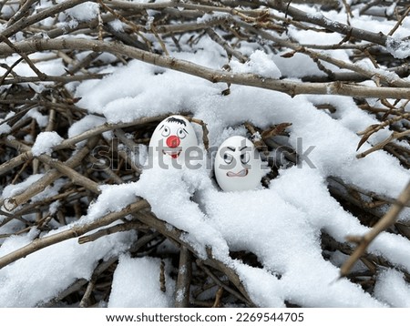 Funny eggs. Faces on eggs. Eggs in a winter scenery
