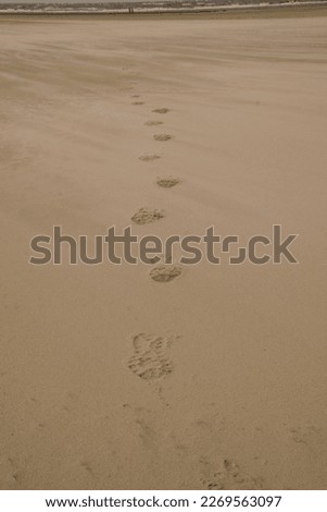 Tracks in the sand at the North Sea here at the beach of St. Peter-Ording