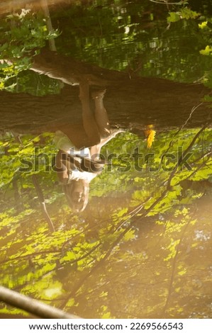 The reflection of a young beautiful woman sitting on a fallen tree with sunflowers over a creek in the forest during summer