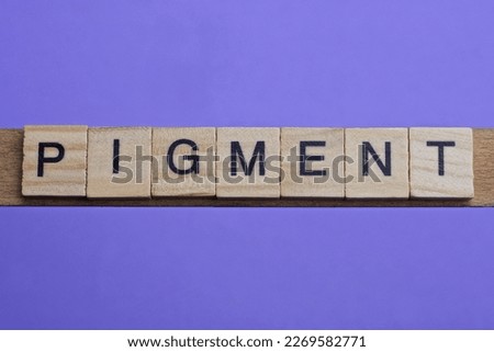 word pigment made from wooden gray letters lies on a lilac background