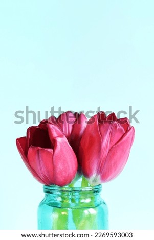 Bouquet of spring tulips in a jar on a blue background, side view. Flowers with empty space