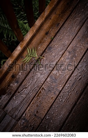 A wet wooden deck on a rainy day