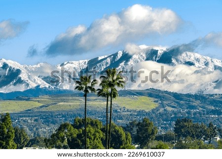 Only in Southern California. Snow mountains and palm trees mix together.