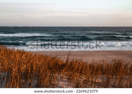 Picture of mandalay beach in Western Australia. Ocean in the background, beach and sand, plants and grass in the foreground. Sea view with waves. Sunset, golden hour evening walk.