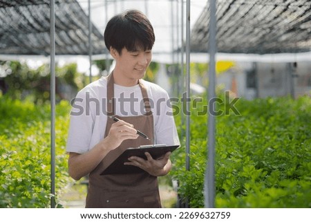 A young man owns a hydroponic vegetable garden, he grows wholesale hydroponic vegetables in restaurants and supermarkets, organic vegetables. new generations growing vegetables in hydroponics concept