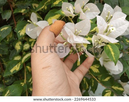 Noisy image of flowers in my hand 