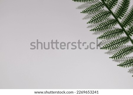 The beautiful pattern pine leaves