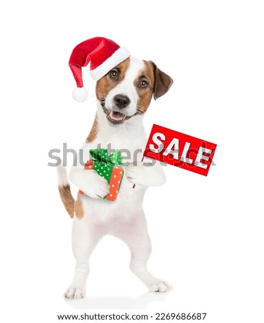 Jack russell terrier puppy wearing santa hat holds gift box and shows signboard with labeled "sale". isolated on white background