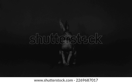 easter black bunny isolated on black background