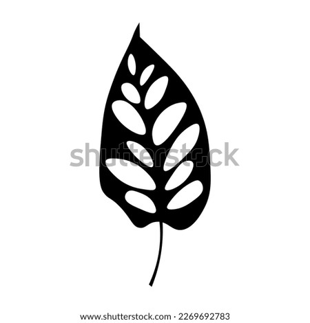 Tropical leaf on white background