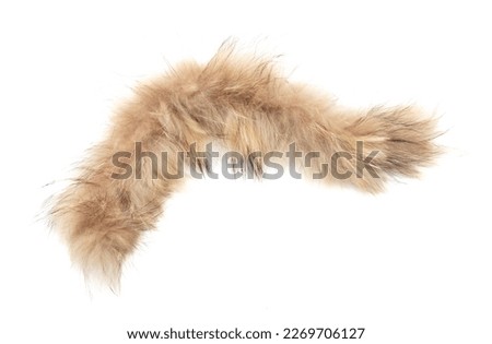 Animal fur isolated white background. Close-up.