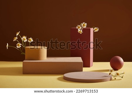 Abstract background minimal style for product advertisement with empty podiums, geometries and fresh feverfew (tanacetum parthenium) Space for cosmetic product mockup with flower. Front view.
