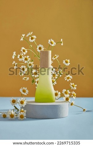 Mockup scene for product of feverfew extract with empty bottle put on white podium and fresh feverfew on yellow background. Herbal remedies to treat migraines. Front view. Tanacetum parthenium.